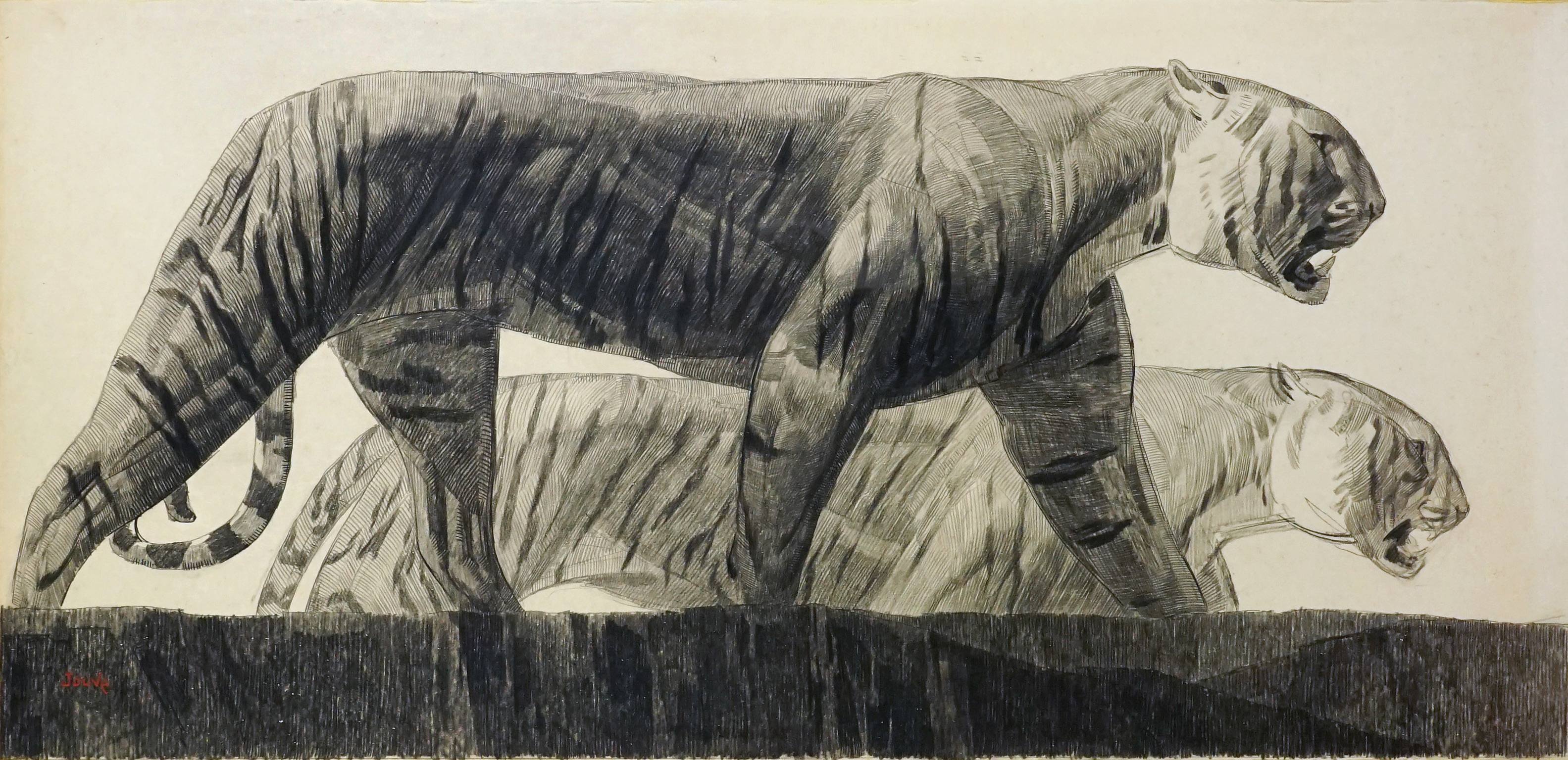 Deux tigres marchant, vers 1925.